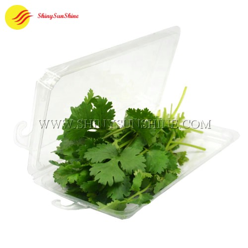 Custom clamshell packaging boxes for fresh herbs and spices.