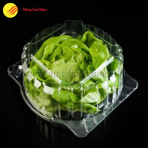 Custom clamshell packaging boxes for lettuce and salad.