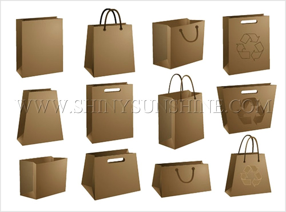 Shiny SunShine custom paper bag types.