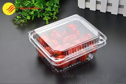 Custom plastic food packaging container boxes > Shiny SunShine