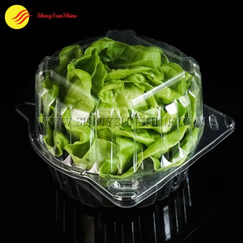 Custom Disposable Clear Plastic Blister Vegetable Packaging Clamshell Fruit  Tray Pet Salad Box - China Plastic Container, Plastic Food Container