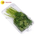 Clamshell Fresh Herbs packaging boxes