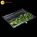 Fresh Herbs Clear Clamshell Packaging Boxes