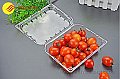 Custom plastic food packaging container boxes