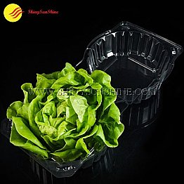 Custom clamshell packaging boxes for lettuce and salad.
