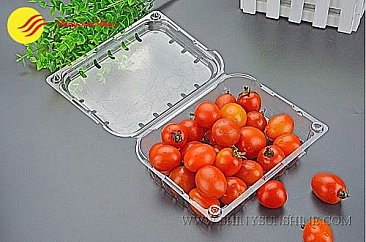 Custom plastic food packaging container boxes logos & design.