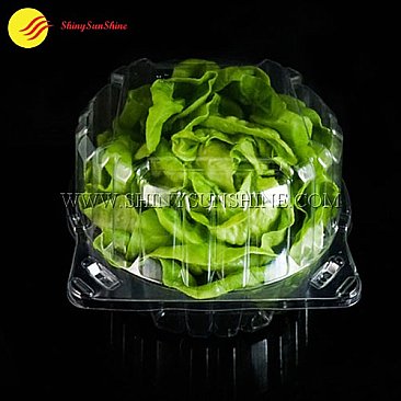 Custom clamshell packaging boxes for lettuce and salad.