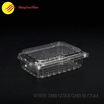 Custom plastic food packaging container boxes logos & design.